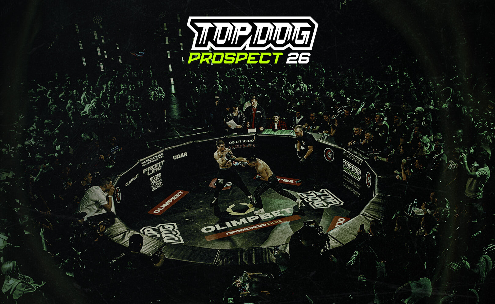 Top Dog Prospect 26