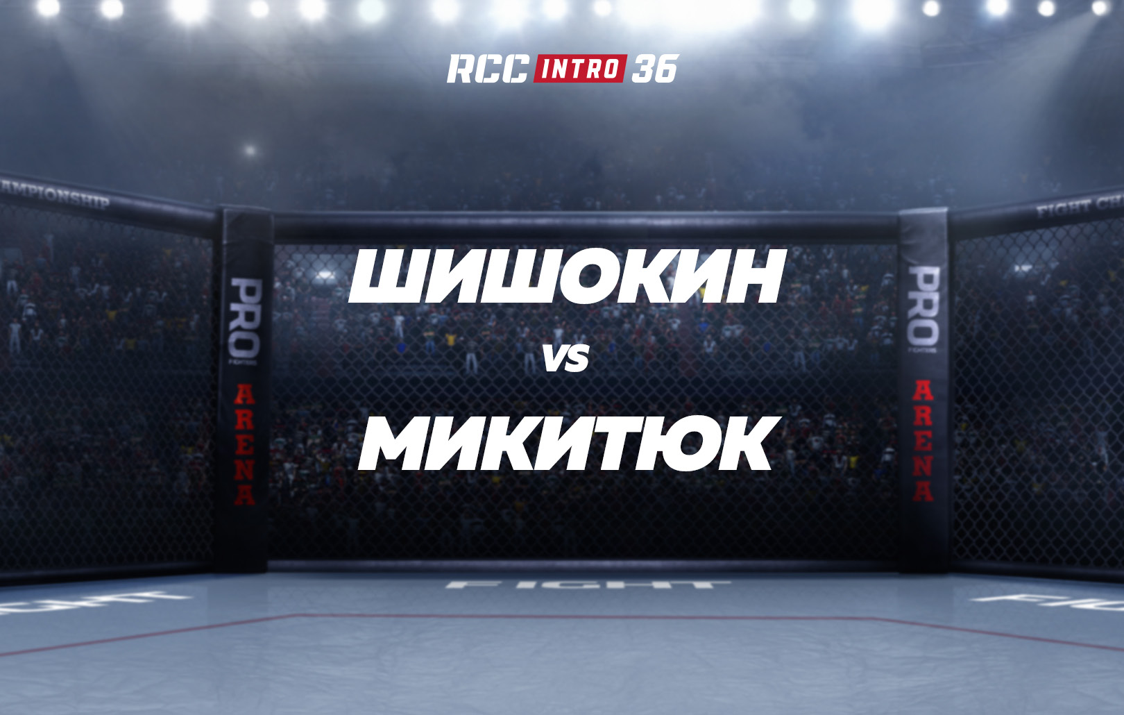 Шишокин vs Микитюк