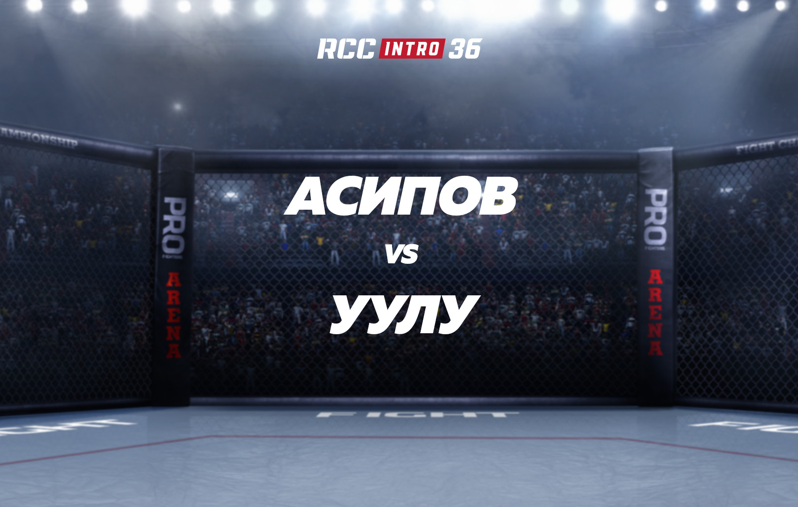 Асипов vs Уулу