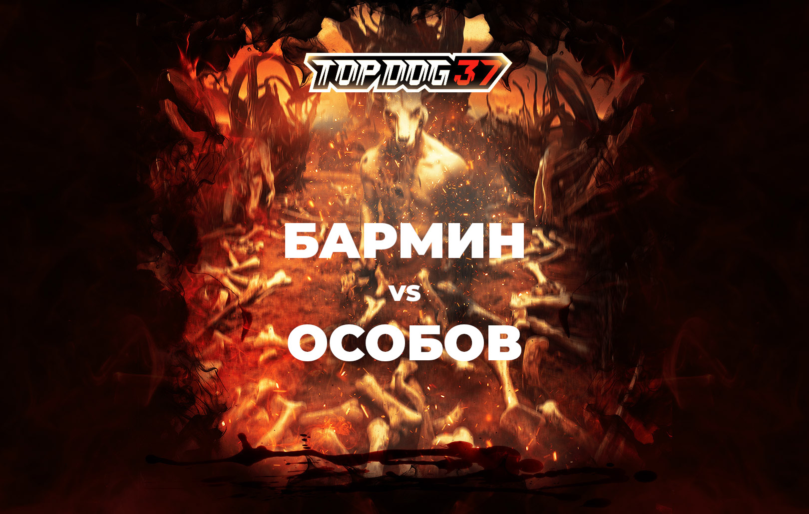 Бармин vs Особов