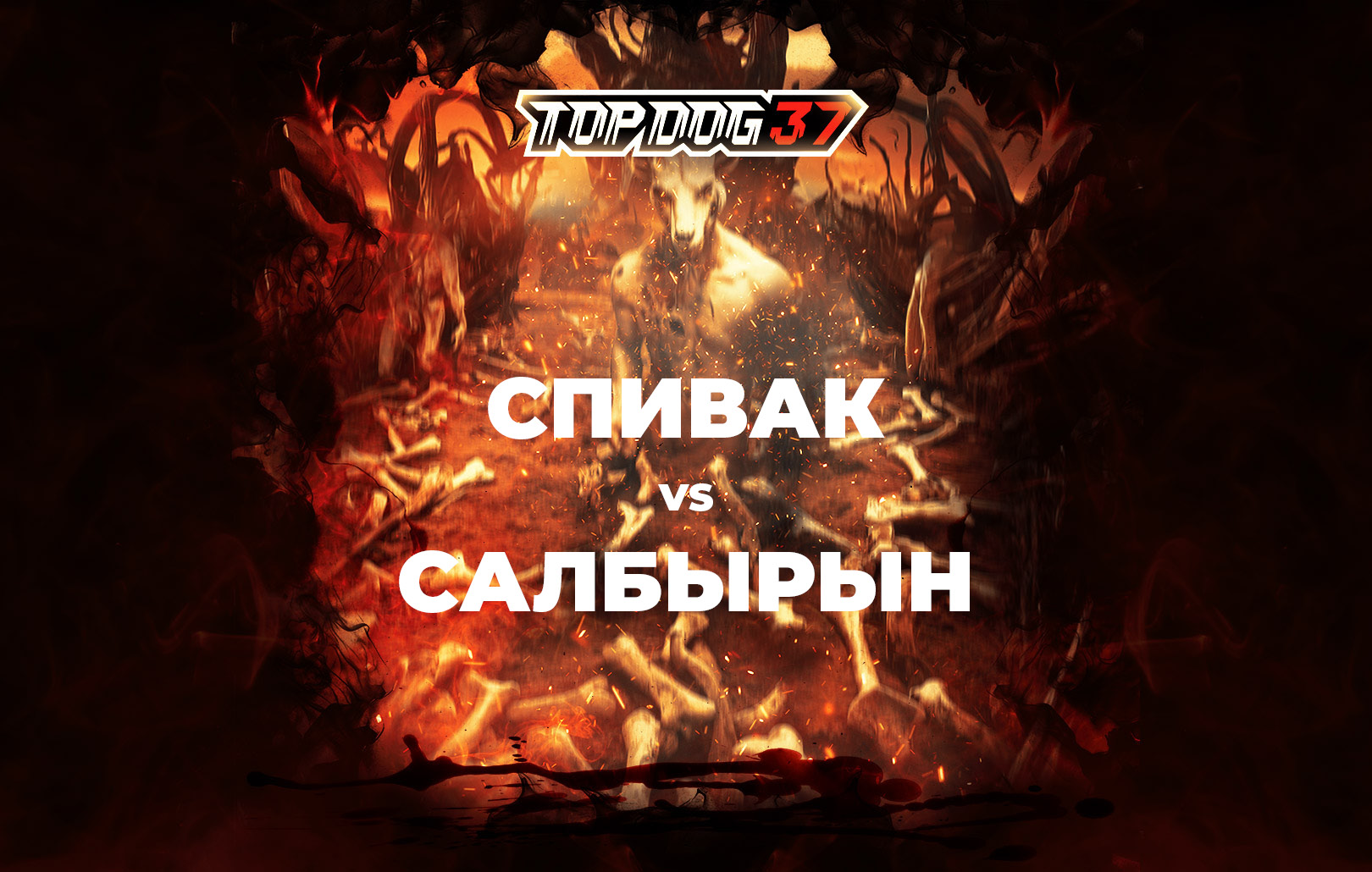 Спивак vs Салбырын