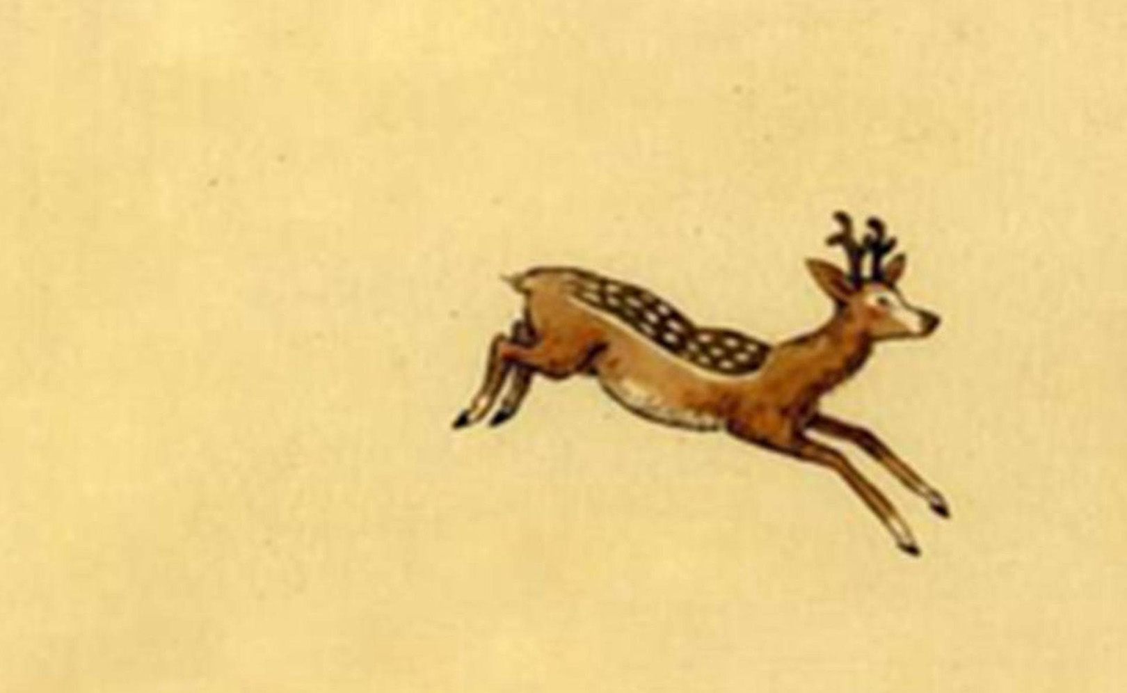 The Decemberists. A Practical Handbook