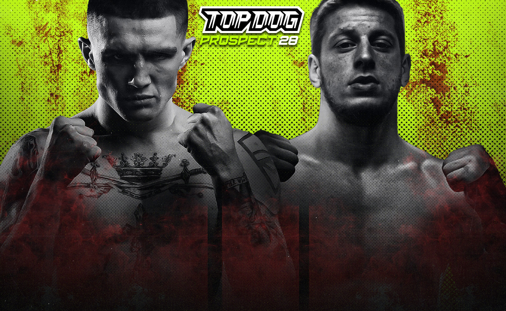 Top Dog Prospect 28