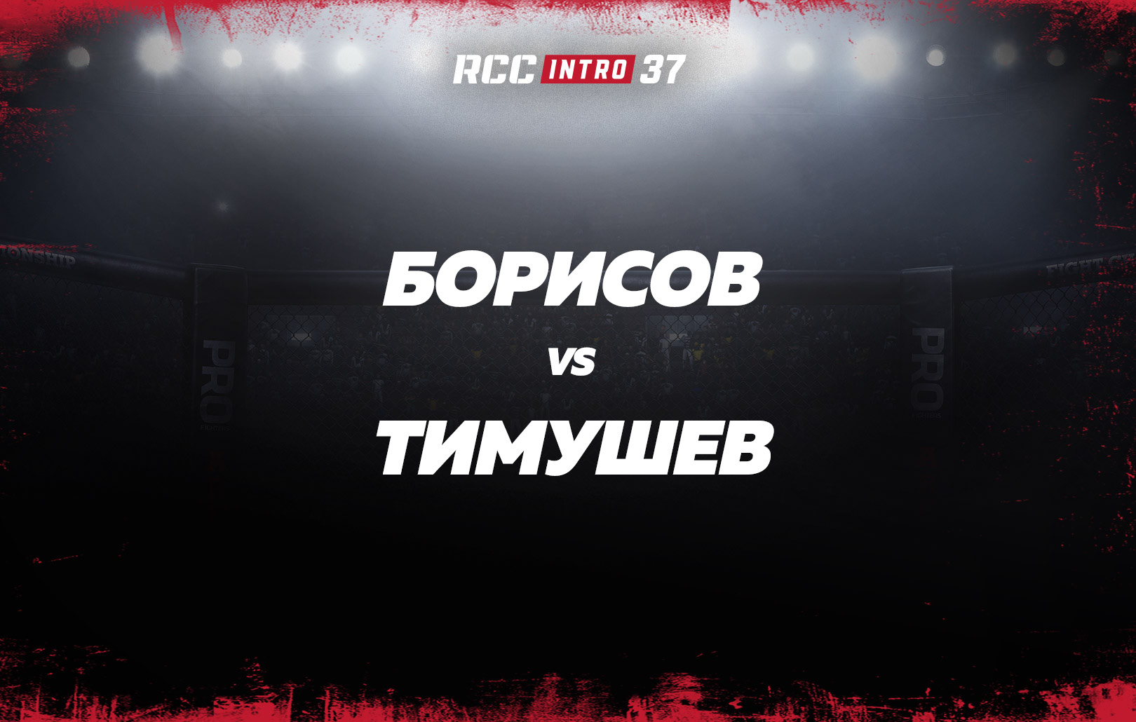 Борисов vs Тимушев