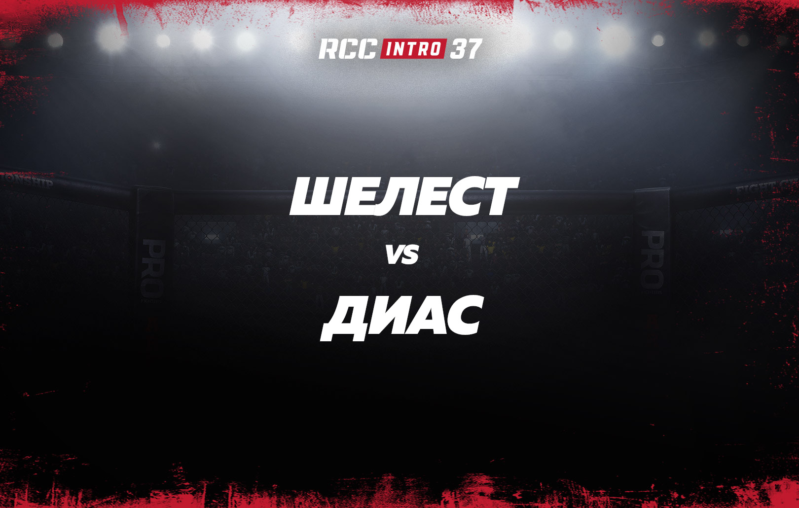 Шелест vs Диас