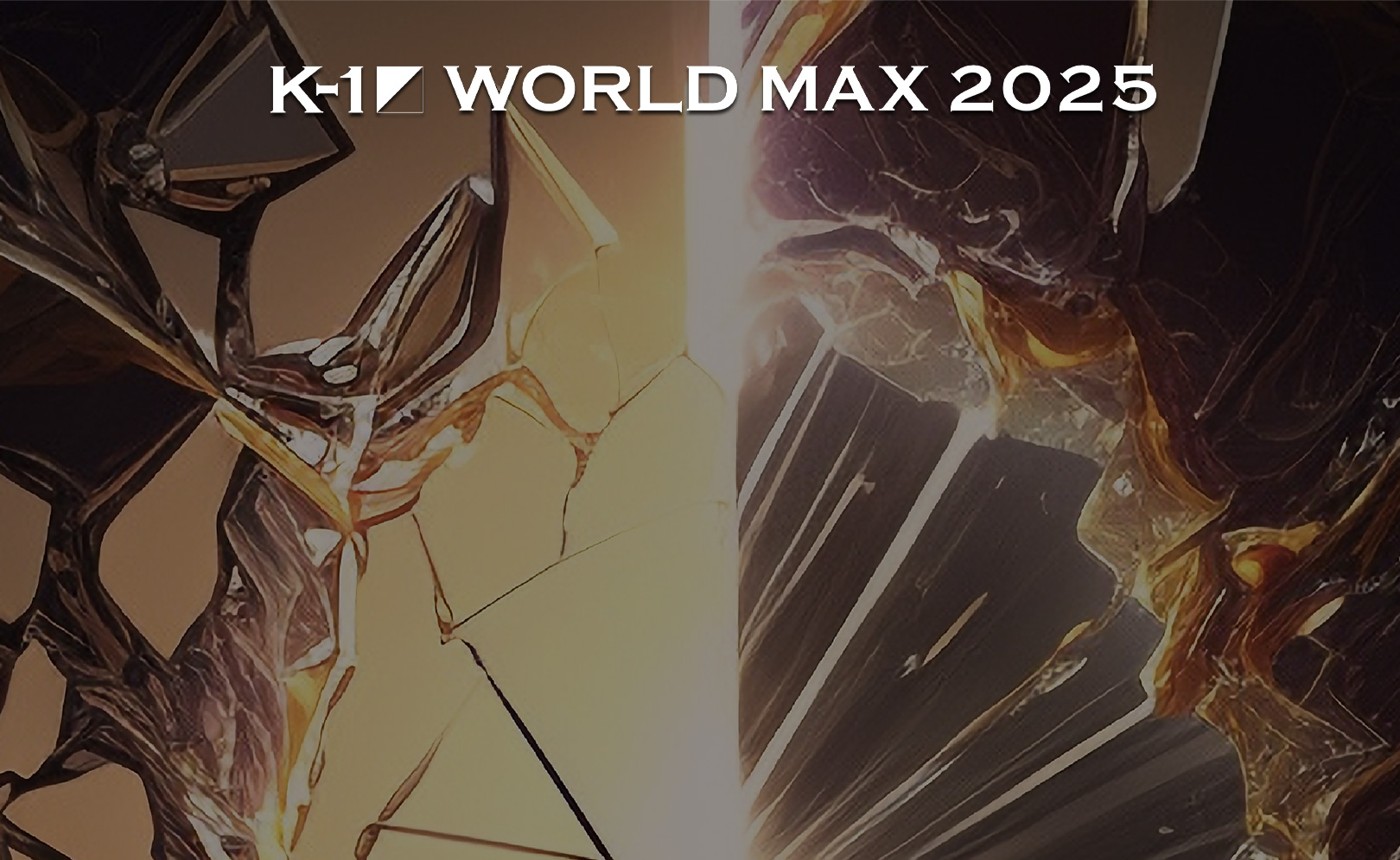 K-1 World Max 2025. Чемпионат мира в весовой категории до 70 кг