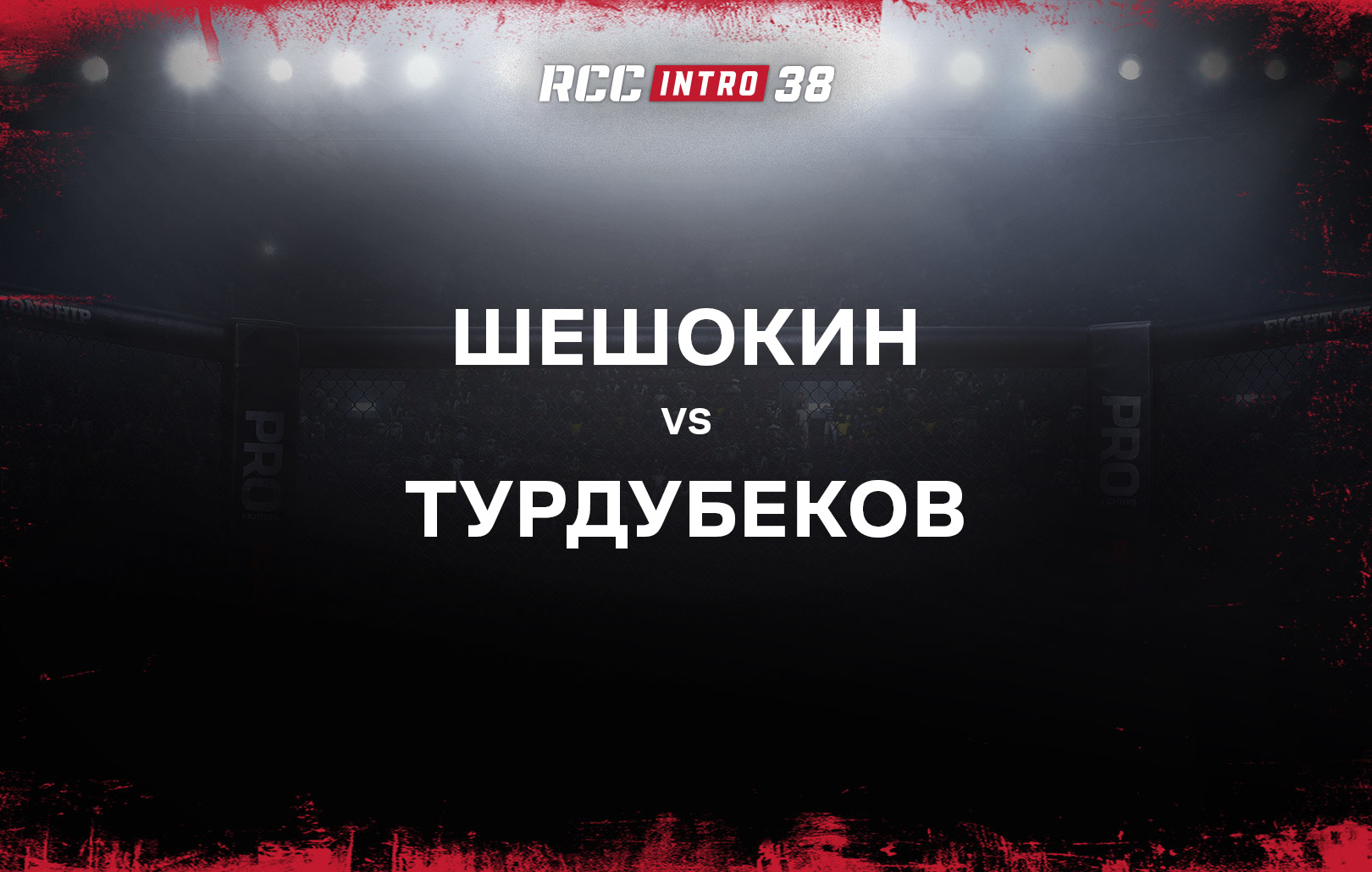 Шешокин vs Турдубеков