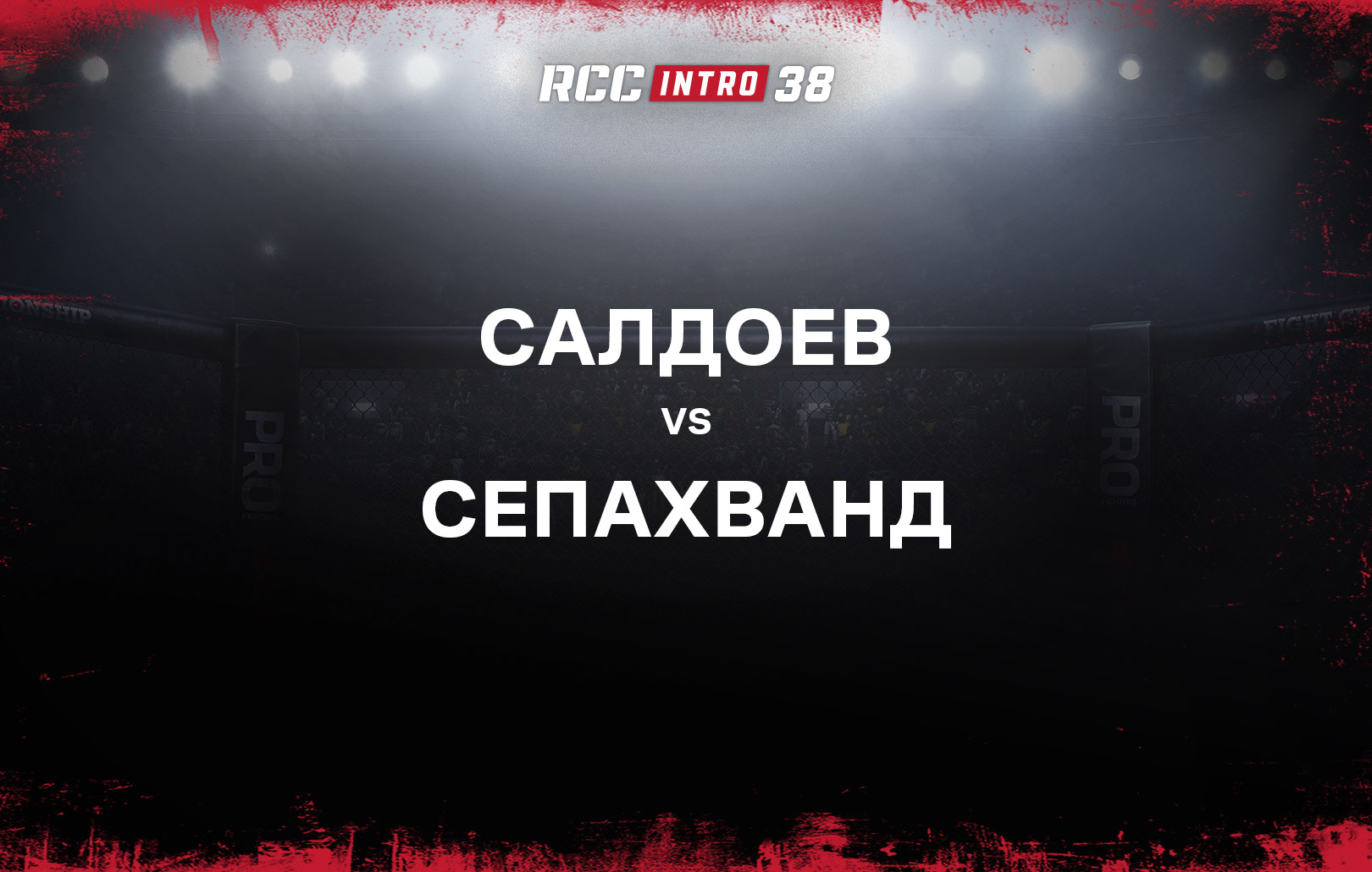 Салдоев vs Сепахванд