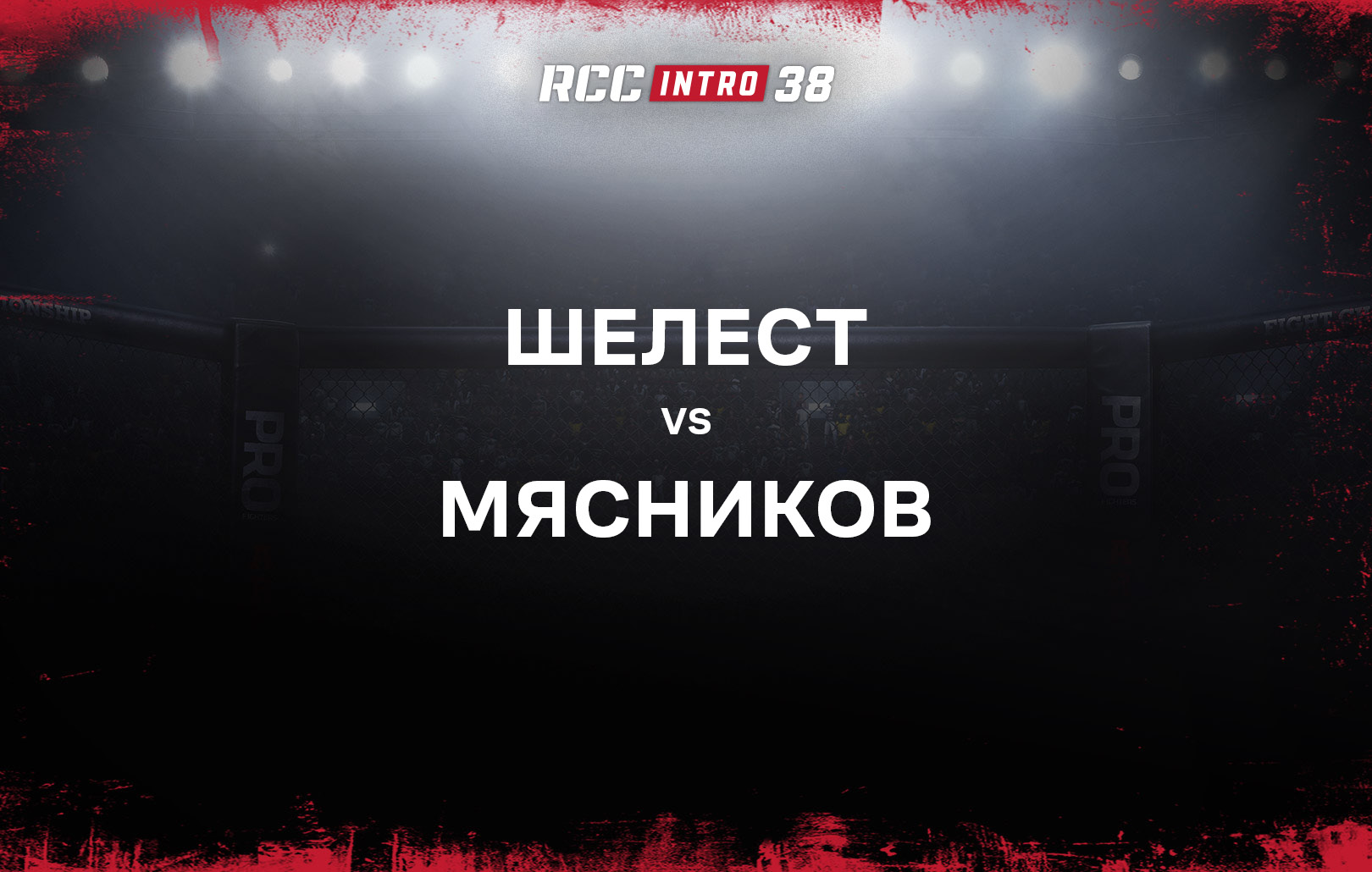Шелест vs Мясников