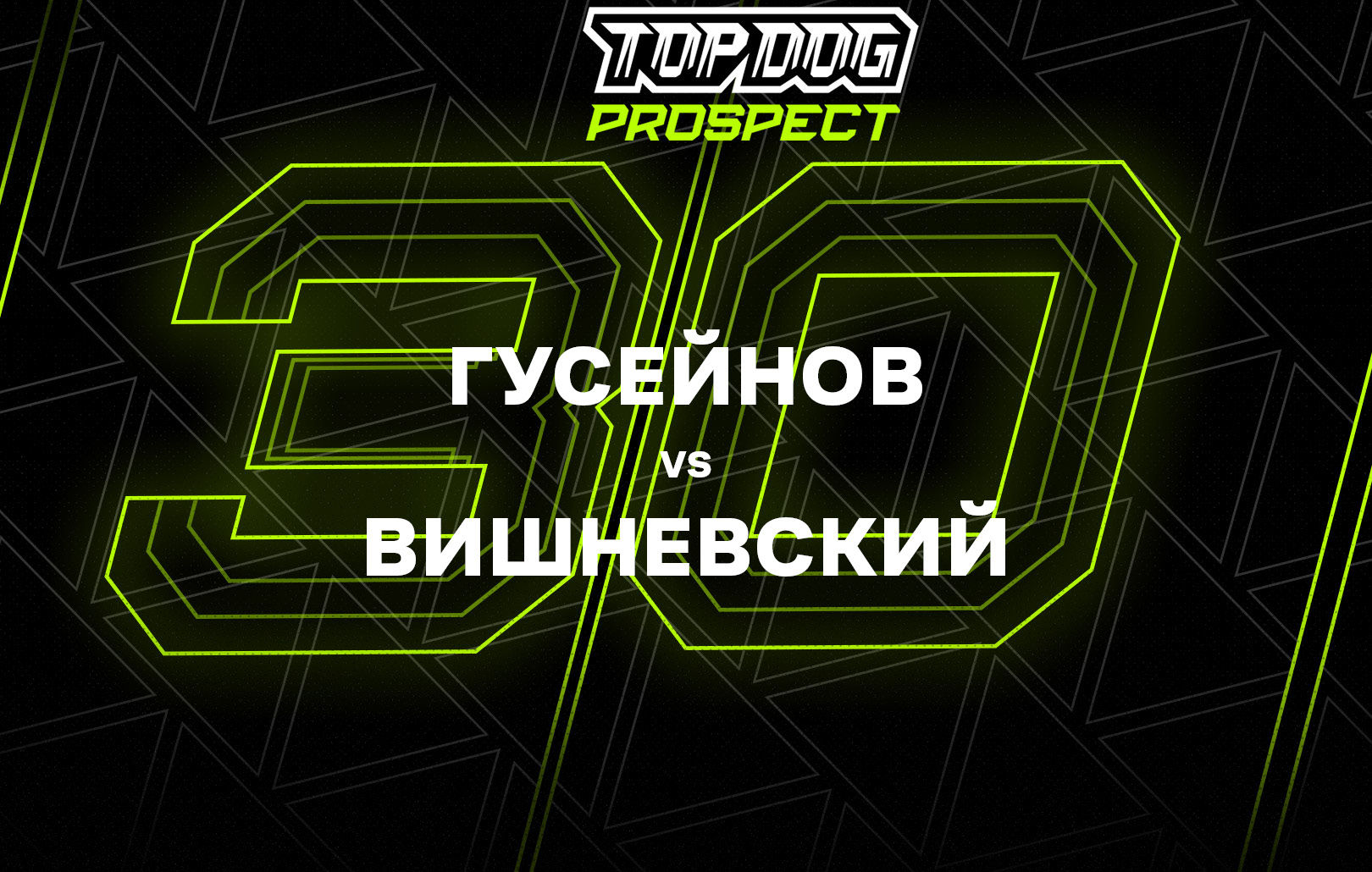 Гусейнов vs Вишневский