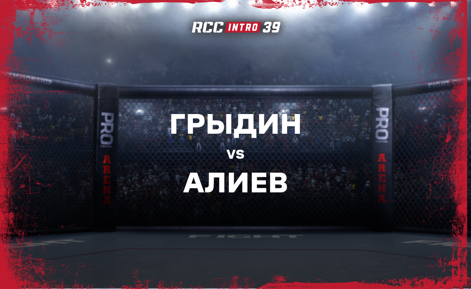 Грыдин vs Алиев