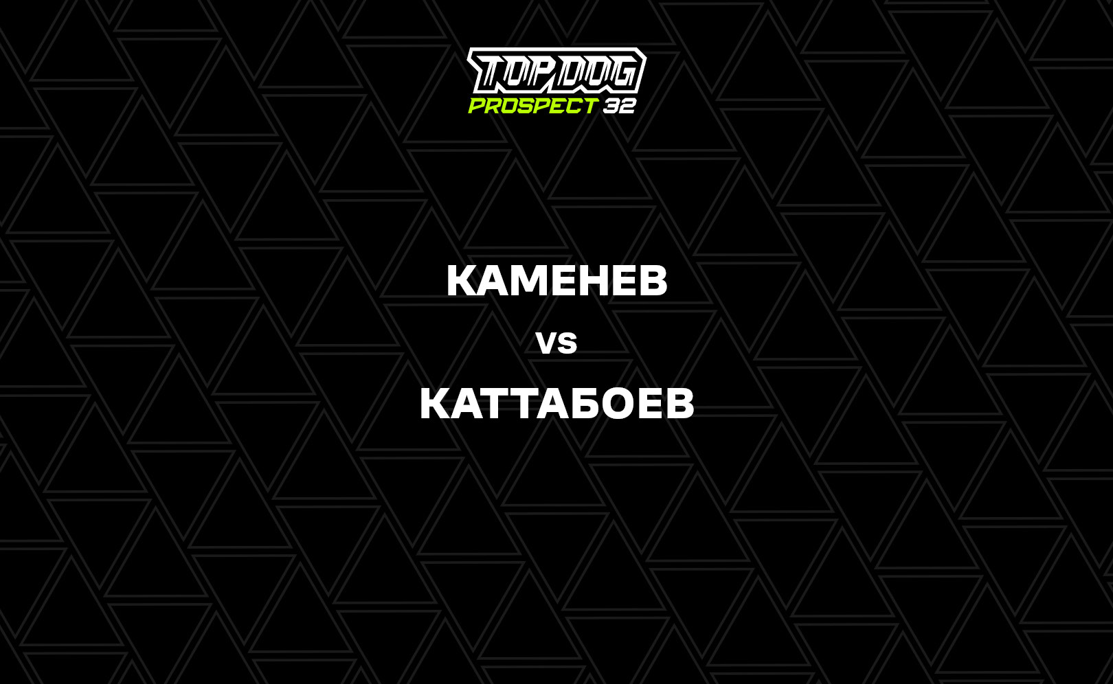 Каменев vs Каттабоев