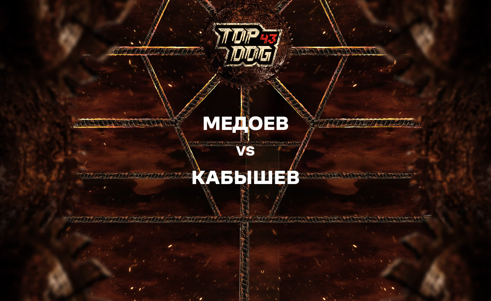 Медоев vs Кабышев