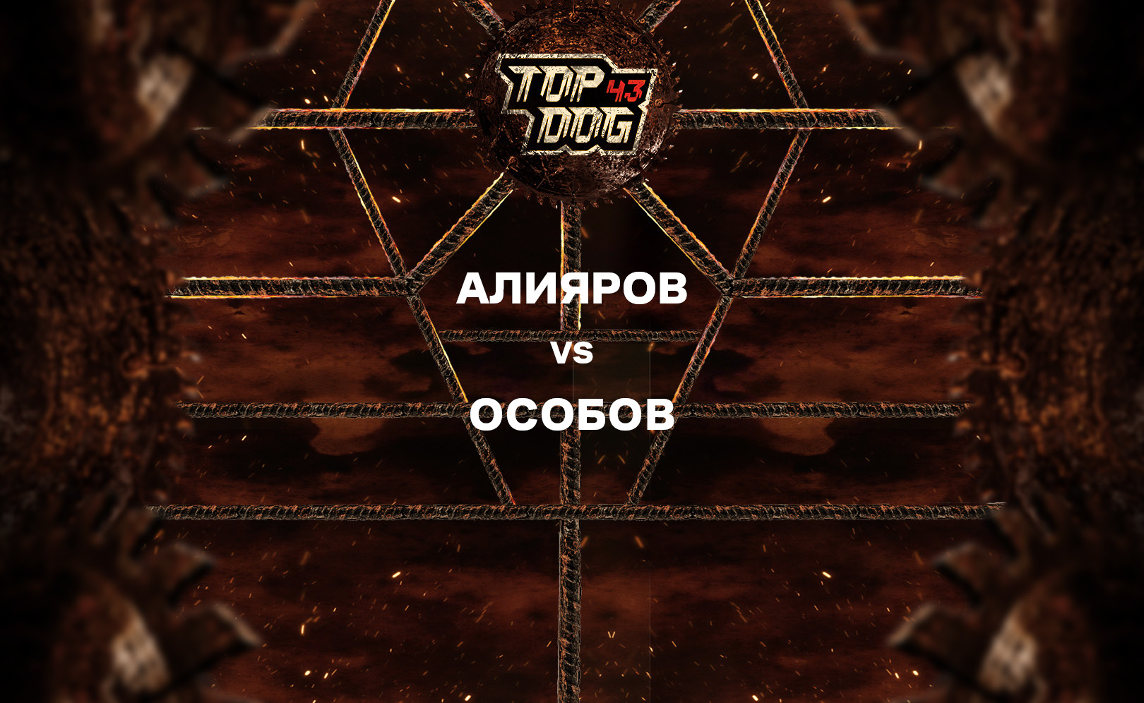 Алияров vs Особов