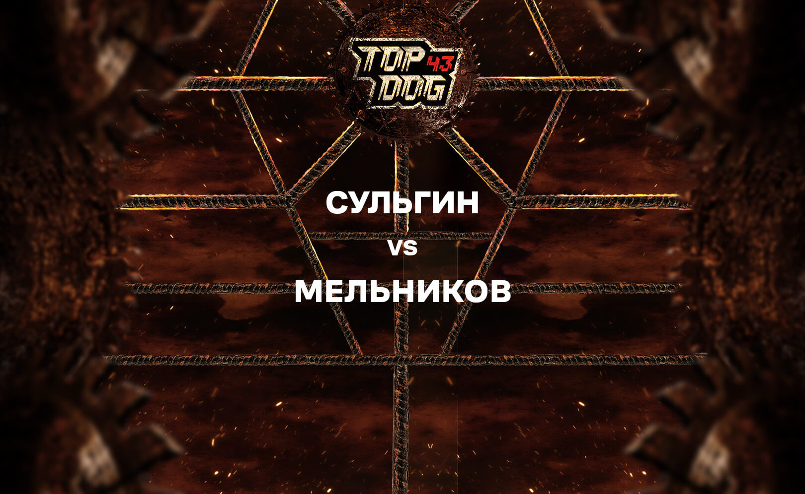 Сульгин vs Мельников