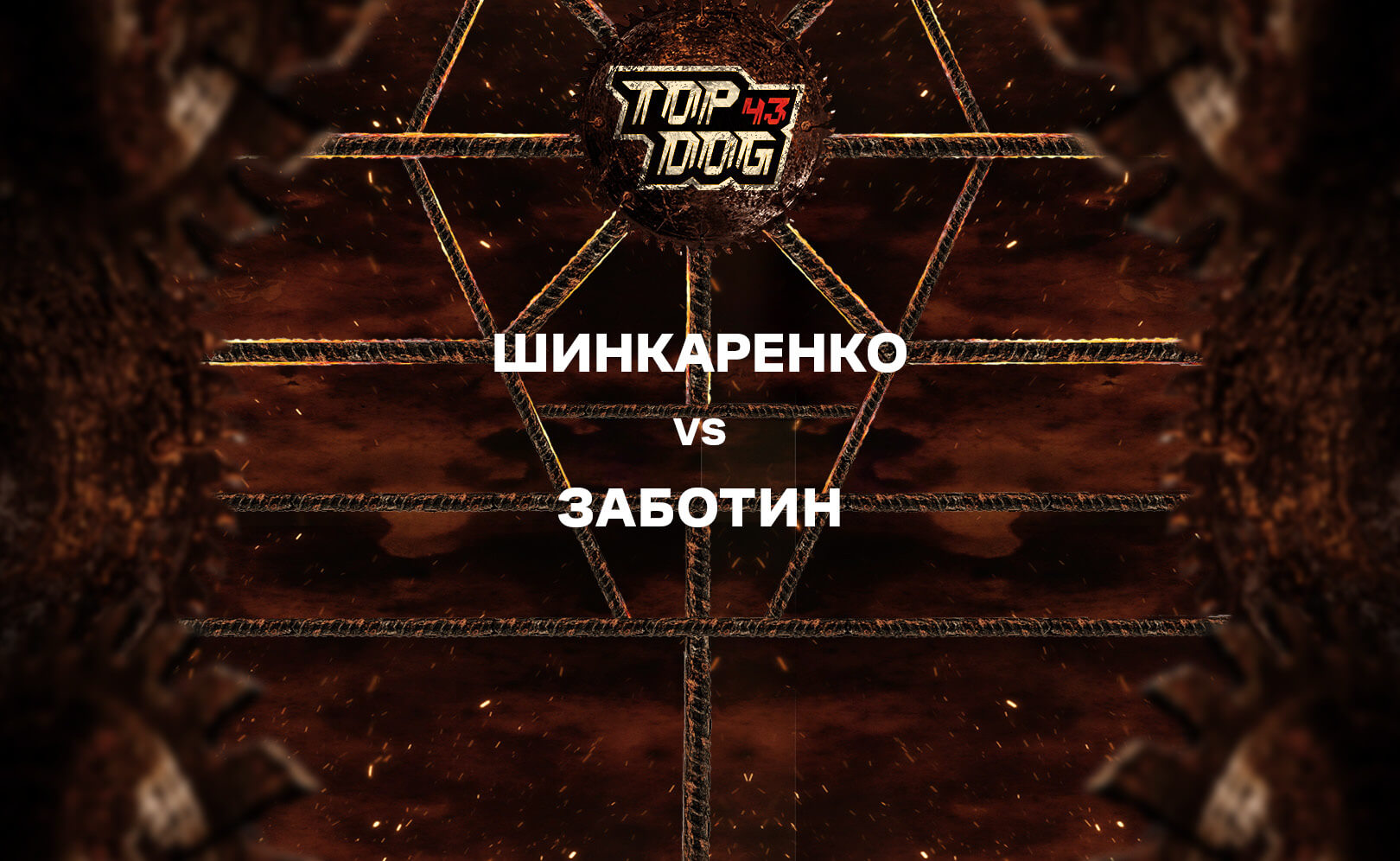 Шинкаренко vs Заботин
