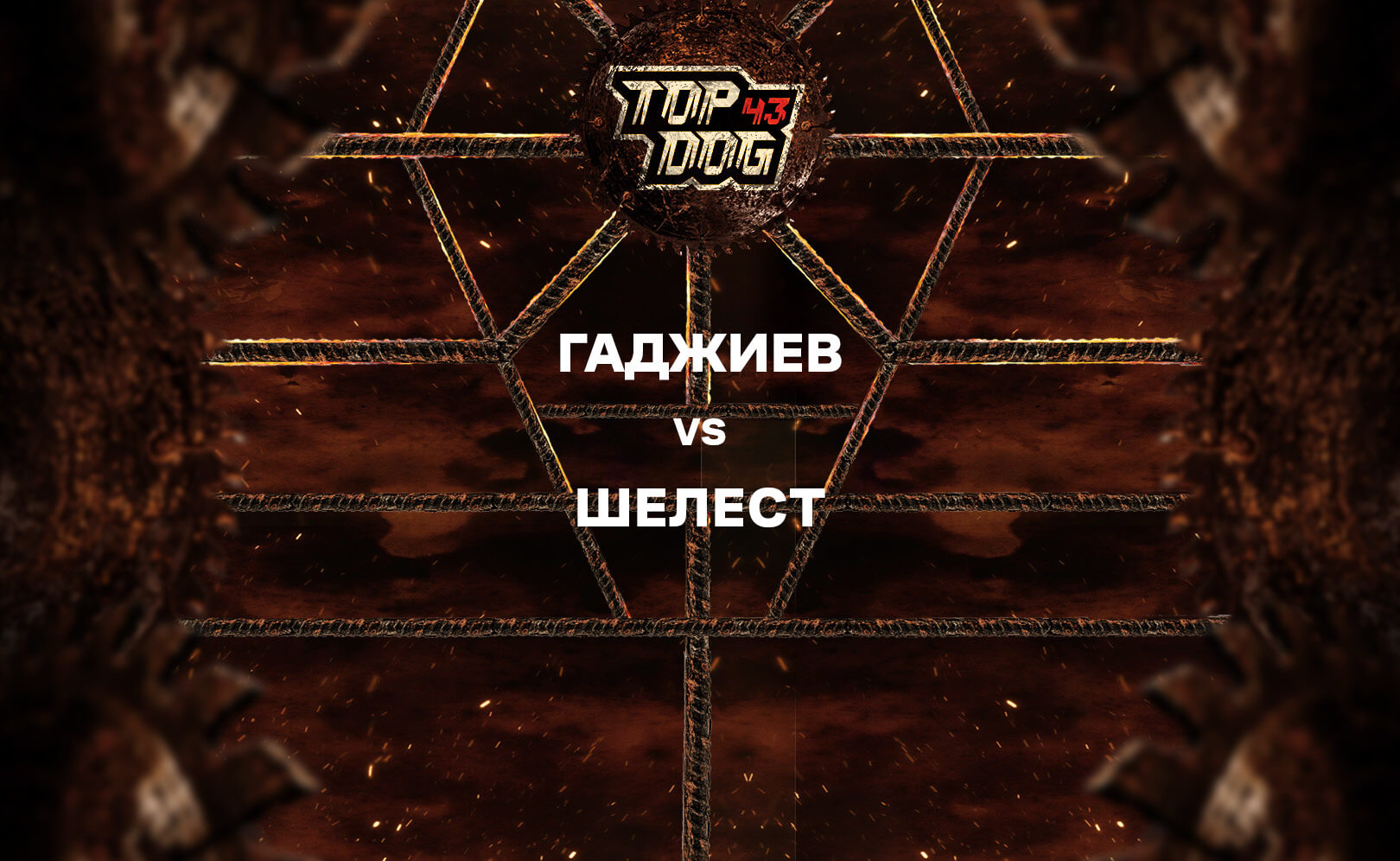 Гаджиев vs Шелест