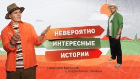 Невероятно интересные истории