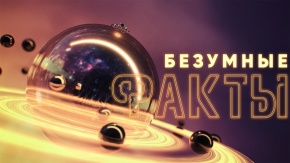 Безумные факты
