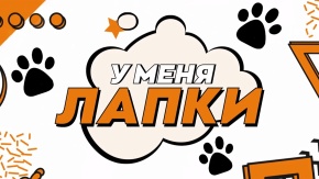 У меня лапки