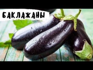 Баклажаны Готовить Только Так