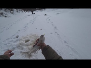 в погоне ЗА ХАРИУСОМ сломали ЛЕДОБУР ТОРНАДО М2 150L