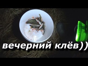 ВЕЧЕРНИЙ КЛЁВ