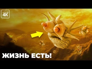 Вот что нашли ученые на Венере