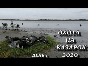 ВОТ ЭТО ОХОТА!!! ВОТ ЭТО НАЛЁТЫ!!! Осенняя охота с ночёвкой 2020 охота на казарок ДЕНЬ 1