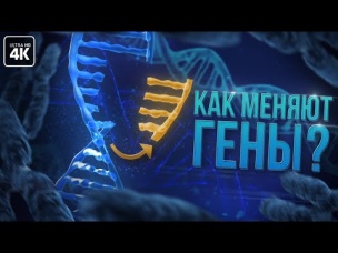 ГМО-люди. Опыты уже начались?