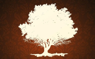 2-я серия