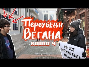 Жизнь без мяса, предназначение животных и другие увлекательные истории | веган активизм |