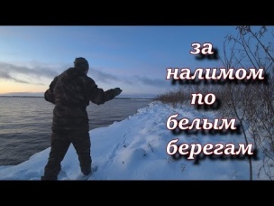 за налимом по белым берегам