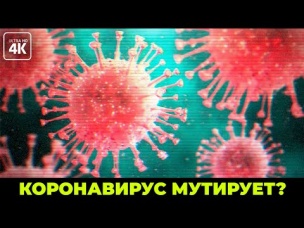 Коронавирус - 1.000.000 зараженных уже к середине марта? Правы ли ученые в предсказании?