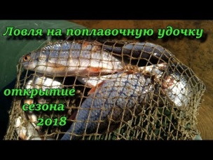 ловля на поплавочную удочку отрытие сезона 2018