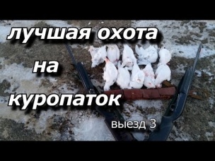 лучшая охота на куропаток выезд 3