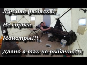 Лучшая рыбалка! Не сорога а Монстры!!! Давно я так не рыбачил!!!