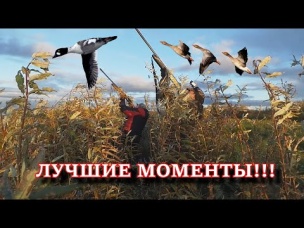 ЛУЧШИЕ МОМЕНТЫ С ОХОТЫ НА ГУСЯ И УТКУ!!! ТОЛЬКО ВЫСТРЕЛЫ!!!