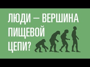 Люди - вершина пищевой цепи | Так ли это? |