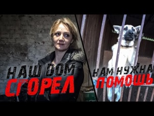 "Меня с ДЕТЬМИ СПАС АНГЕЛ!" КУПИЛИ корм для БЕЗДОМНЫХ ЖИВОТНЫХ! ДОРОЖЕ ДЕНЕГ/ВАСЯ НА СЕНЕ/САНСАРА