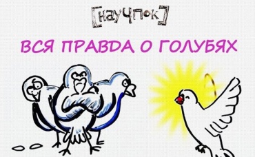 113-я серия