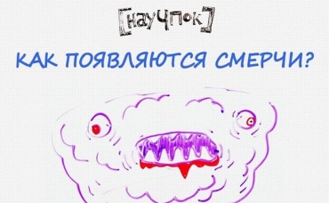 114-я серия