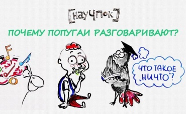 117-я серия