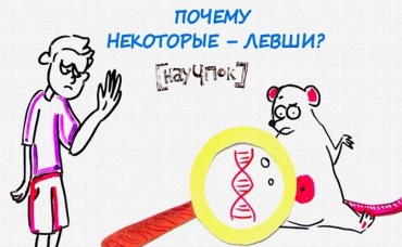 133-я серия