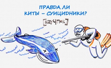 134-я серия