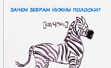 138-я серия