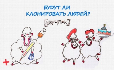 141-я серия