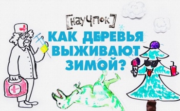 29-я серия