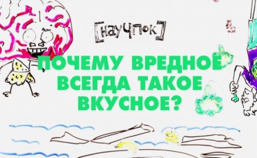 36-я серия