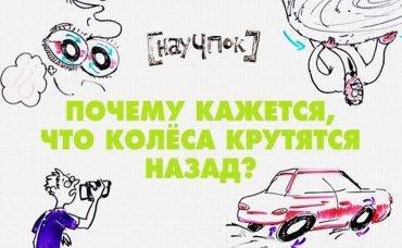 38-я серия